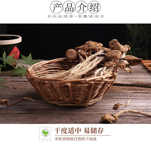 禾煜 福建古田茶树菇40g 蘑菇菌菇食用菌 山珍南北干货 福建古田特产