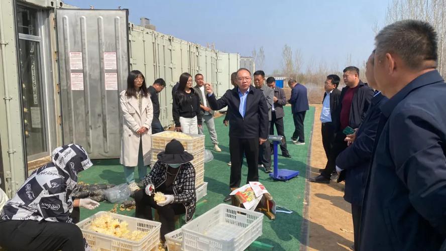 潍坊诸城龙都街道:科技赋能"微型工厂" 智慧农业不可"菇"量