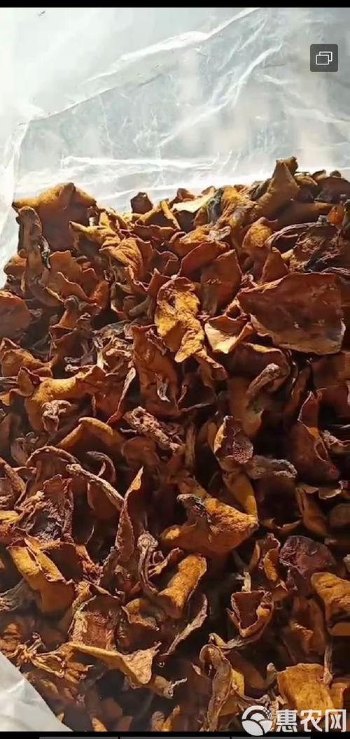 松蘑干大量现货求买家