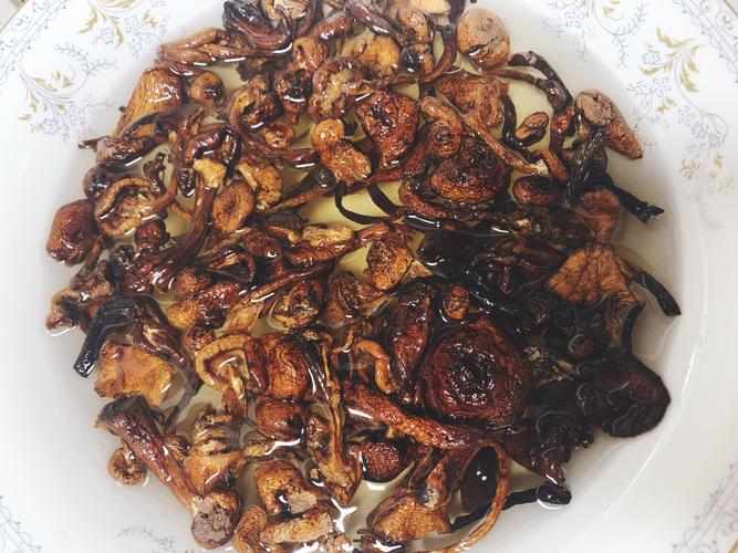 超级下饭,蘑菇干炒肉
